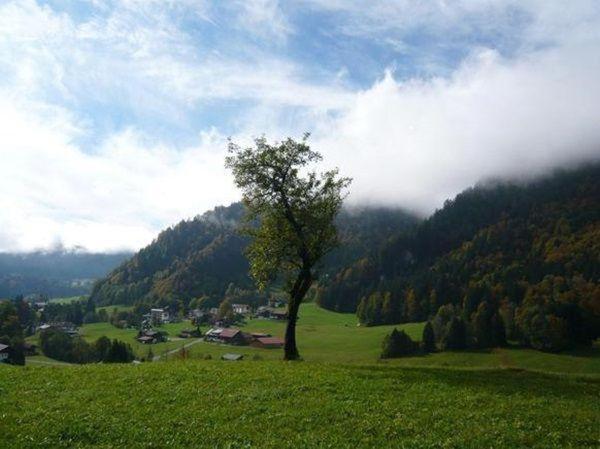 Appartement Falkenberg-wohnung-218 Oberstdorf